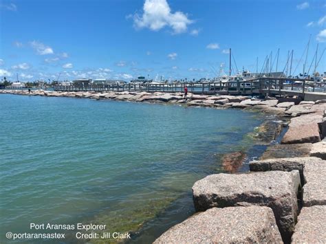 40+ Family-Friendly Things to Do in Port Aransas • Port Aransas ...