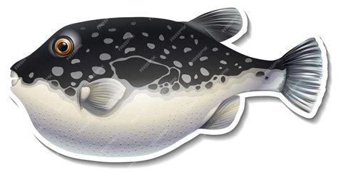 Premium Vector | Puffer fish cartoon sticker on white background