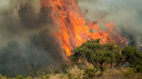 State of emergency declared in Chile over forest fires