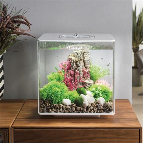 biOrb CUBE 30 Aquarium with MCR - 8 gallon – OASE Living Water | Fresh water fish tank, Aquarium ...