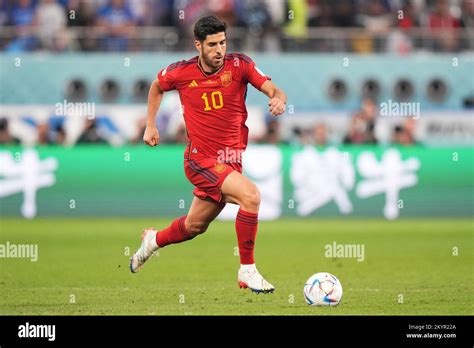 Marco Asensio of Spain during the FIFA World Cup Qatar 2022 match ...