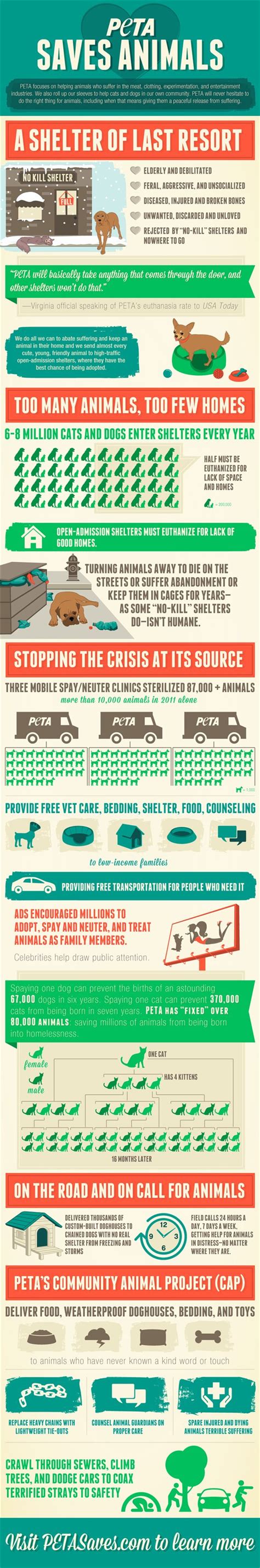 22 Scarey Animal Overpopulation Statistics - BrandonGaille.com