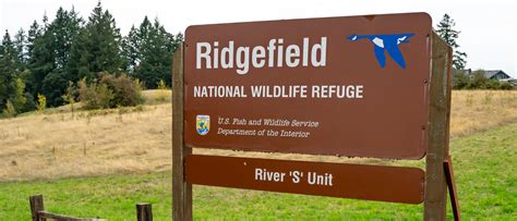 Ridgefield National Wildlife Refuge · Wildlife Viewing Drives