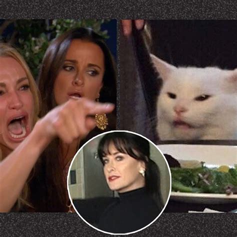 Funny Memes Best Woman Yelling At Cat Meme - These are the 28 best woman yelling at cat memes ever.