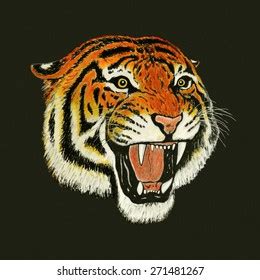 Tiger Roar Drawing Stock Illustration 271481267 | Shutterstock