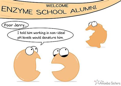 Enzyme Gossip Poster by amoebasisters | Science humor, Science jokes, School cartoon