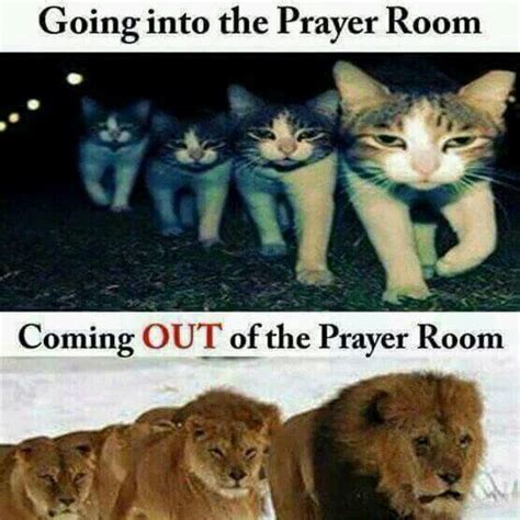 30 Funny Prayer Memes for Your Enjoyment | Anchored in Christ