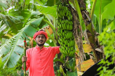 Premium Photo | Young indian farmer in a traditional costume on the field