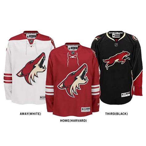 Arizona Coyotes Jersey Number History - treesehome