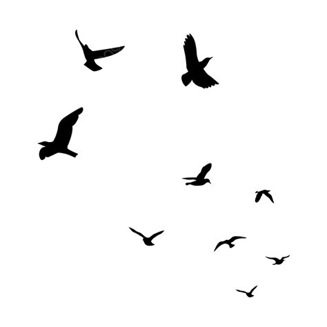Beautiful Flying Birds, Flying Together, Birds Flying, Birds Silhouette PNG Transparent Clipart ...