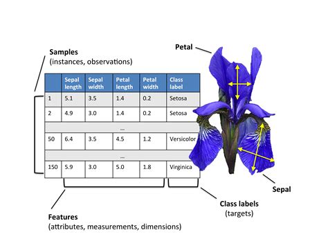 Principal Component Analysis