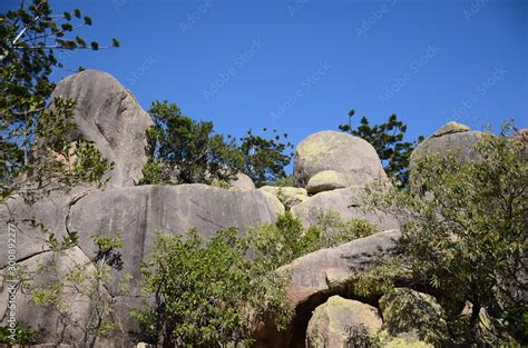 WW2 military Coastal artillery fortress Stock Photo | Adobe Stock