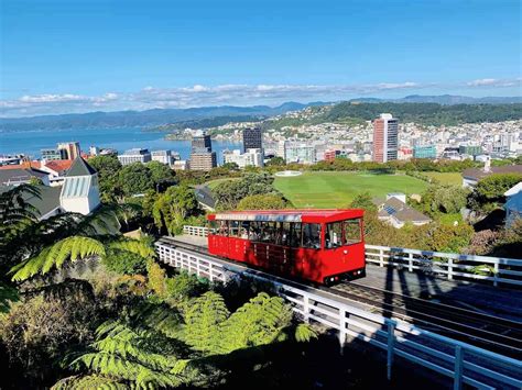 8 MUST DO Wellington Activities | A Complete 1 Day Wellington Itinerary