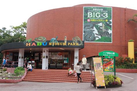 Habu Museum Park - Okinawa - Japan Travel