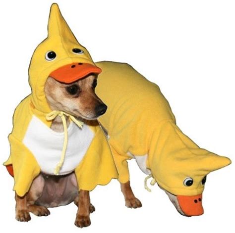 Duck Dog Costume - Costumes Posh Puppy Boutique | Dog costumes, Dog ...