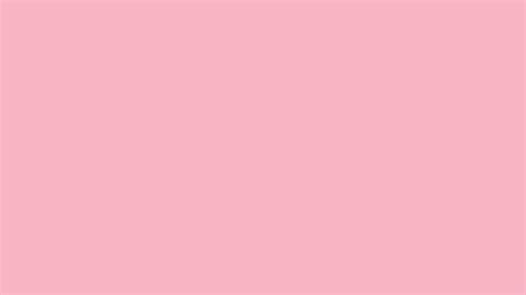 Light Pink Solid Color Background: 1000+ Free Download Vector, Image ...