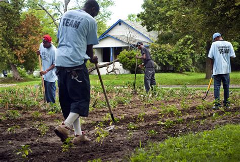 Agriculture: Urban Agriculture