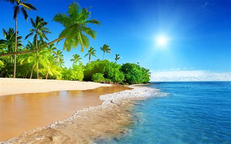 HD wallpaper: Tropical Palm Tree Beach Ocean Sunlight Island HD, nature ...