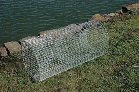 How to build your own fishing trap | Self-Sufficiency | Before It's News