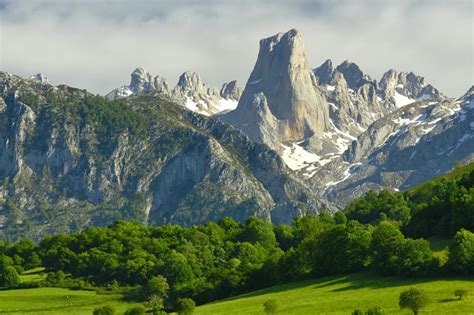 Back to the Wild: Picos de Europa National Park – Spain