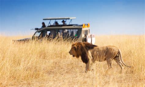 4 Days Serengeti and Ngorongoro Crater Safari from Zanzibar