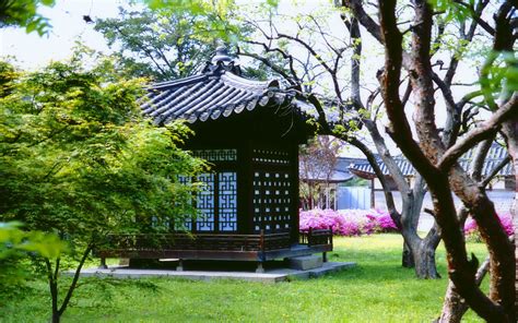 Garden In Korea - Korean Building Hd (#3046554) - HD Wallpaper ...