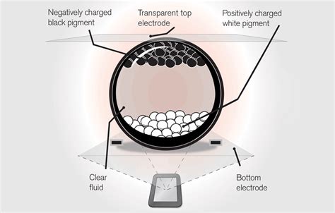 Electronic paper explained: what is it and how does it work? - Visionect