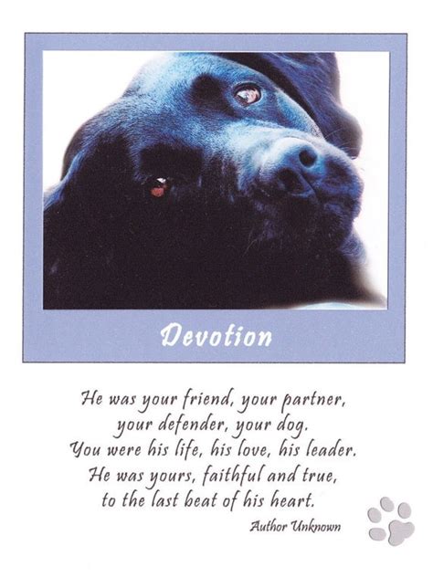 Items similar to Sympathy Card for loss of Dog on Etsy