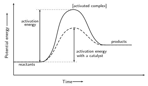 How can I represent an endothermic reaction in a potential energy diagram?