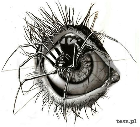 a drawing of an eye with large spider legs on it's iris and eyes