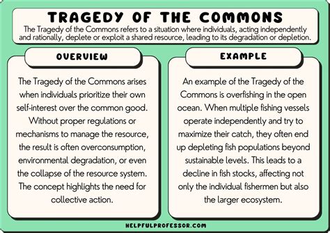 26 Tragedy of the Commons Examples (2024)