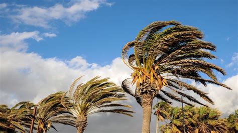 Santa Ana Winds Forecast Throughout Southland This Weekend | Edison ...