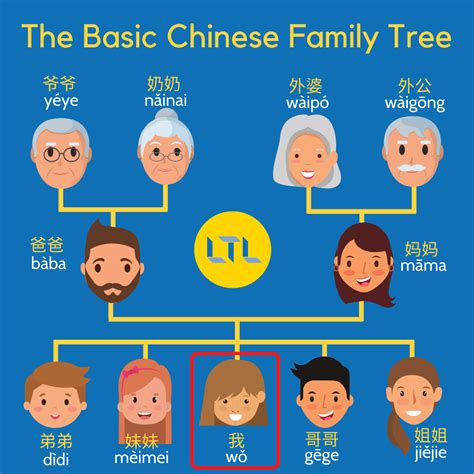 Simple Chinese Family Tree : r/ChineseLanguage