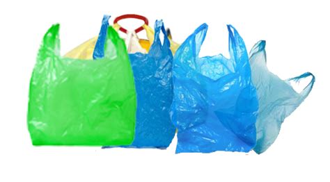 Single-use plastic bags banned in Provincetown,United States | ScrapMonster.com