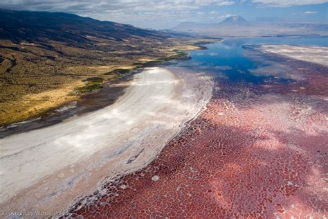 Lake Natron | Again, Lake Natron in northern Tanzania. In th… | Flickr