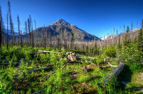 Photo USA Kootenay HDRI Nature mountain Parks