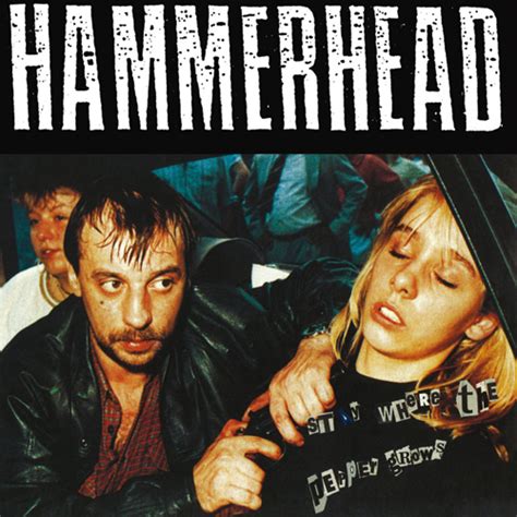 Hammerhead - Stay where the pepper grows-LP