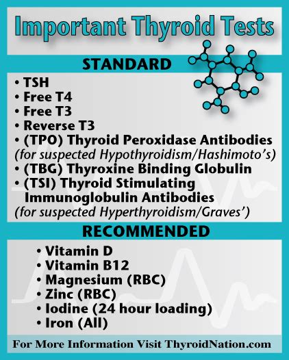 Important-Thyroid-Blood-Test-To-Do-Thyroid-Nation - Thyroid Nation