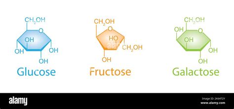 Chemical Illustration of Monosaccharides. Glucose, Fructose And ...