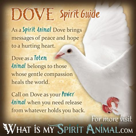 Dove Symbolism & Meaning | Spirit, Totem & Power Animal | Power animal ...