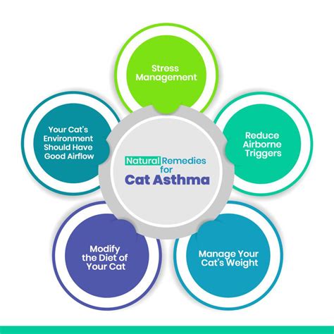 Cat Asthma Natural Remedies - The Hidden Cures