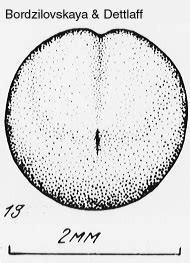 Embryo Staging Series - Ambystoma.uky.edu