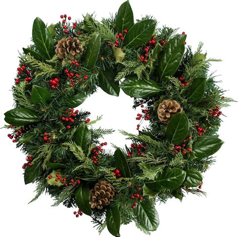 Premium Photo | Christmas wreath made of fir tree and cones isolated on ...