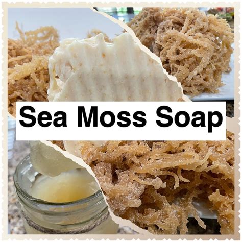 SEA MOSS SOAP - Something Better Today