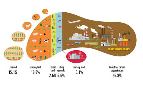 Ecological Footprint | WWF Hong Kong