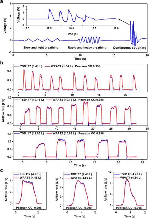 Respiration measurement. (a) Human respiratory pattern detection.... | Download Scientific Diagram