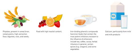 Inhibitors and enhancers - Iron absorption | Livogen