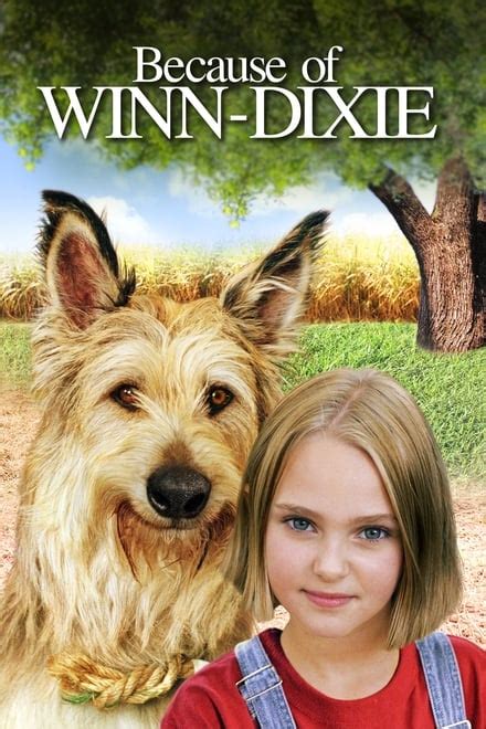 Because of Winn-Dixie (2005) - Posters — The Movie Database (TMDB)