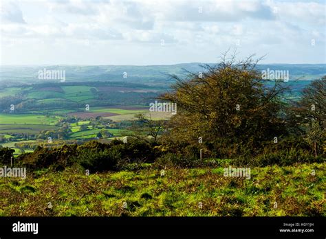 The Quantock Hills, Somerset, England Stock Photo - Alamy