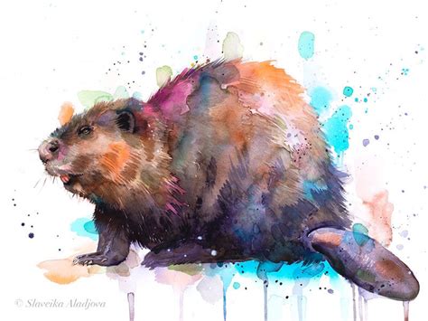 Beaver watercolor painting print by Slaveika Aladjova, art, animal ...